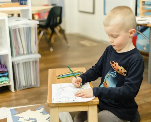 children using Montessori botany materials to learn about plants and nature